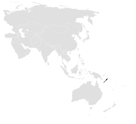 Arctic Willow Warbler