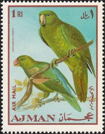 Blue-rumped Parrot