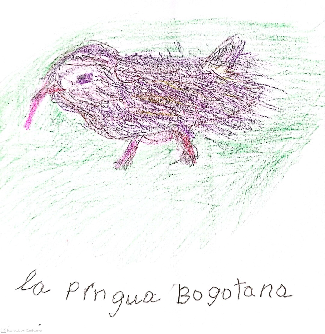 Bogota Rail