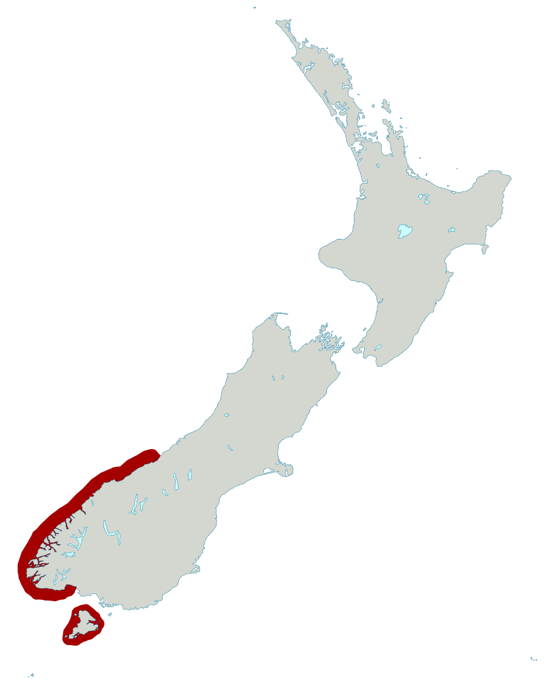 Fiordland penguin