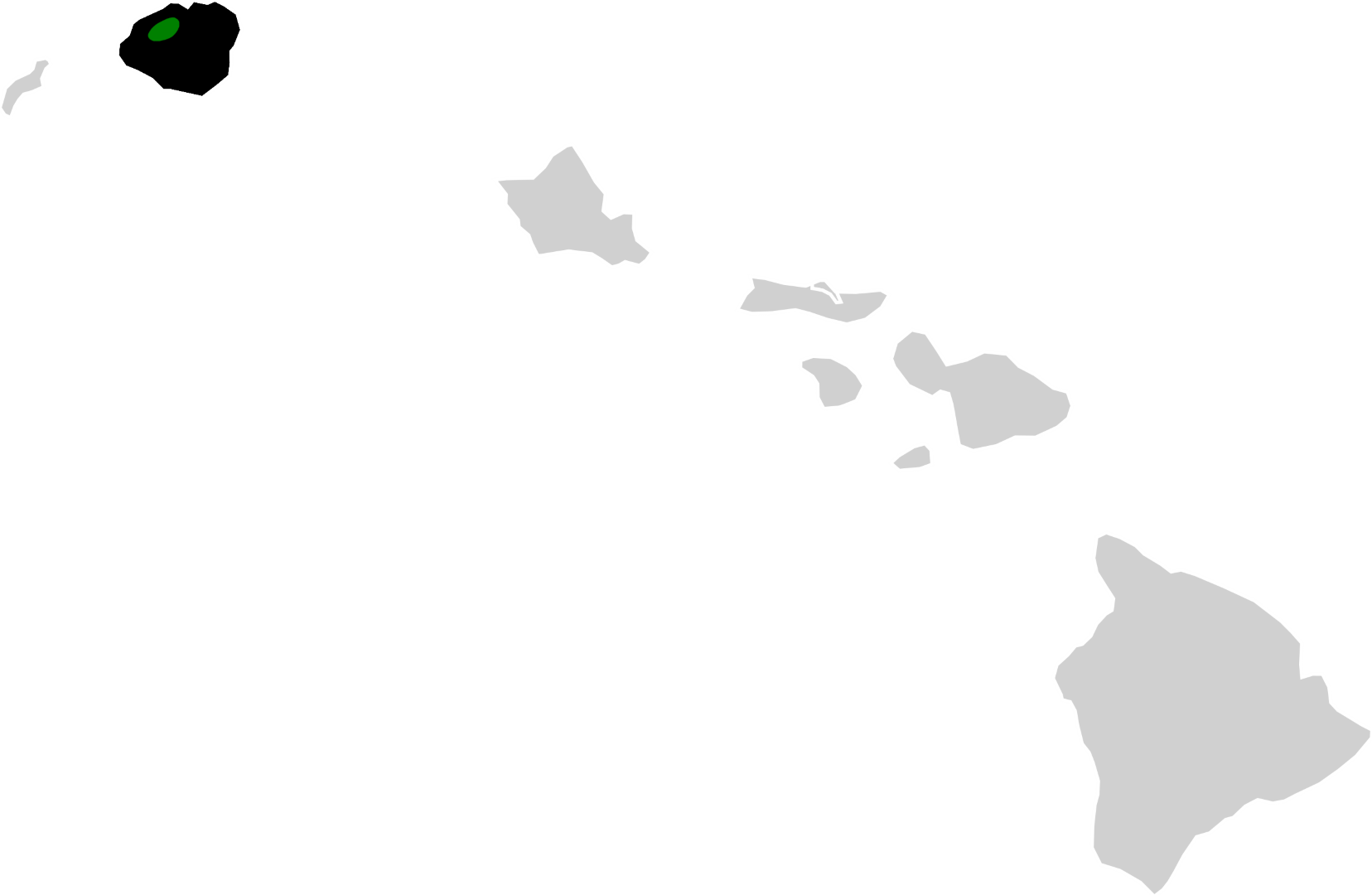Kauai 'Akepa
