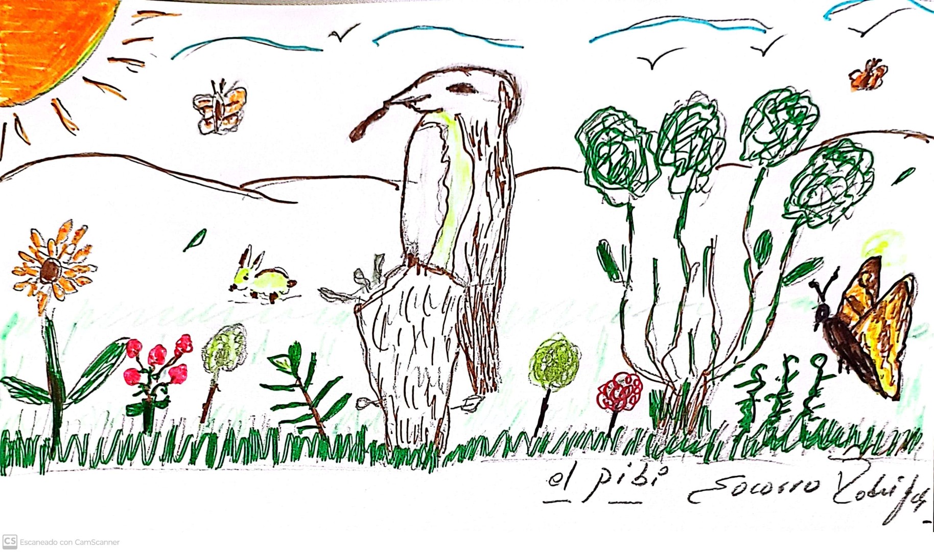 Olive-sided Flycatcher