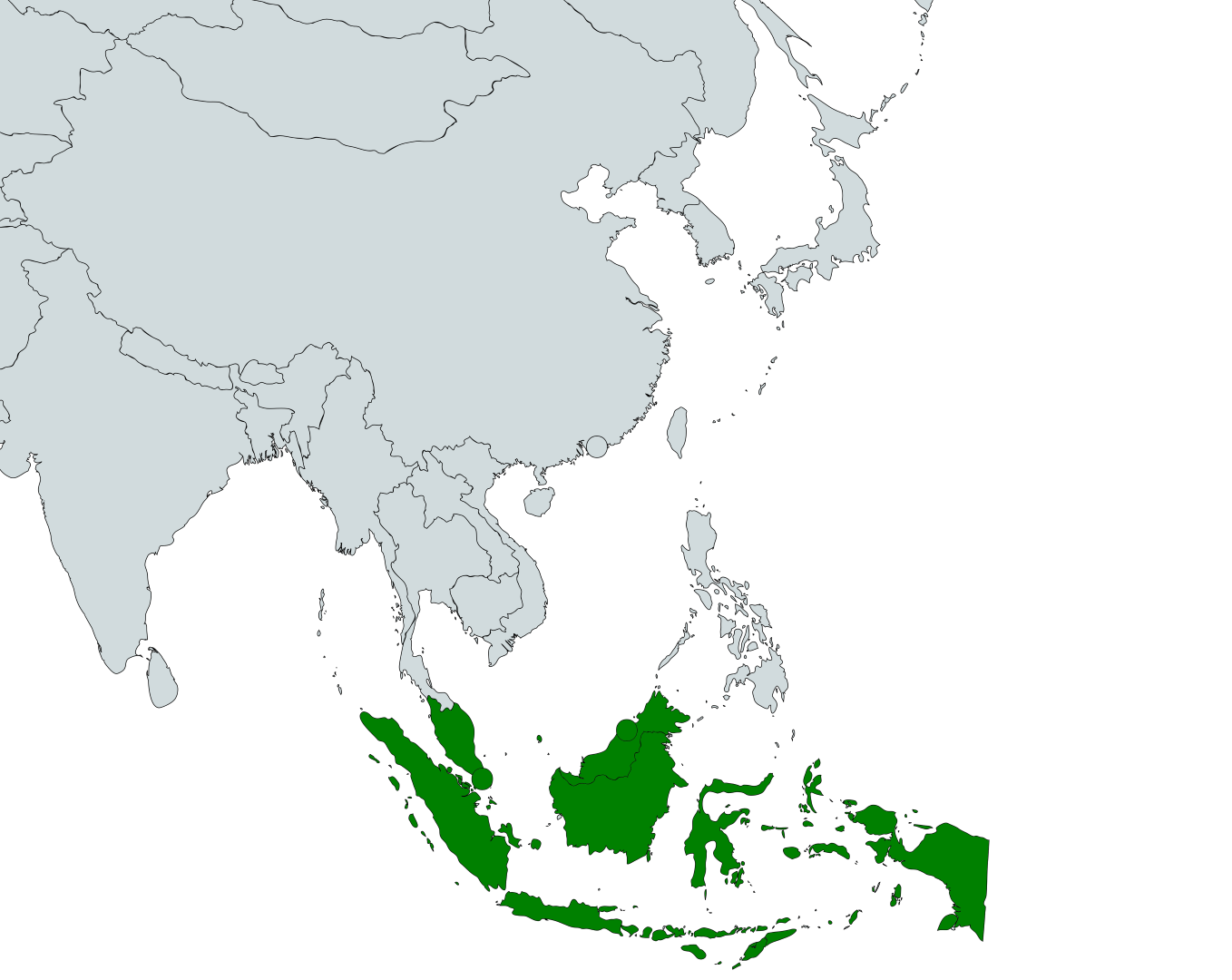 Puff-throated babbler