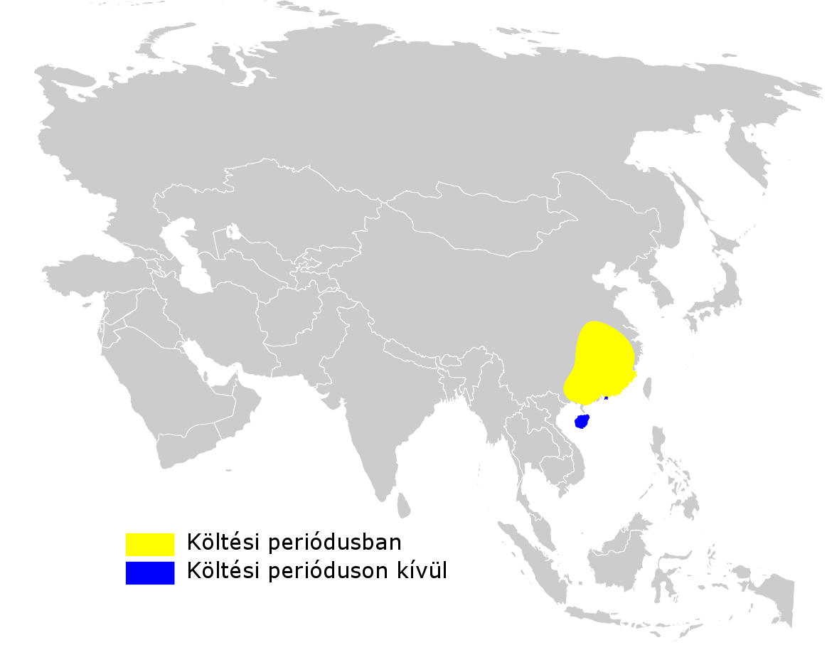 Sulphur-breasted Warbler