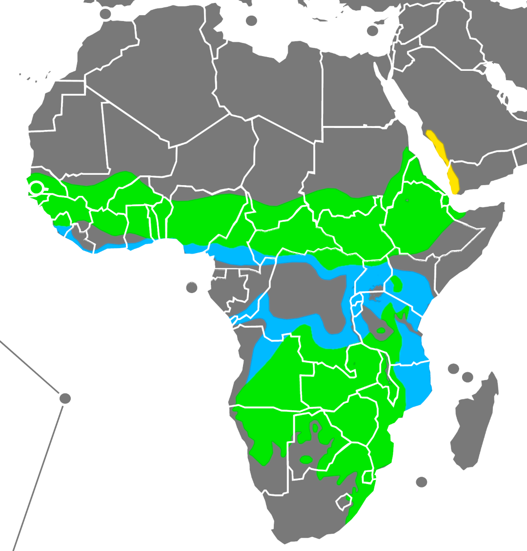 Violet-backed Starling