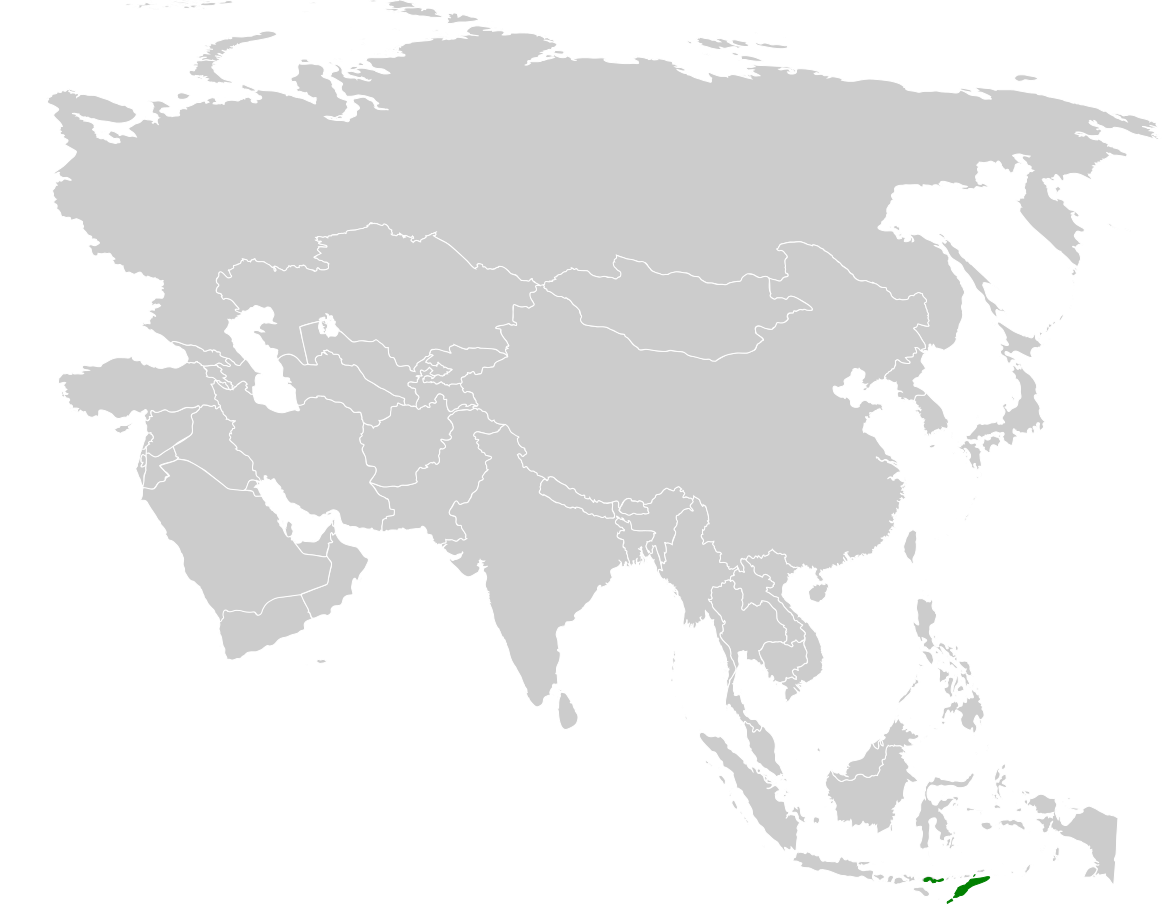 Yellow-breasted Warbler