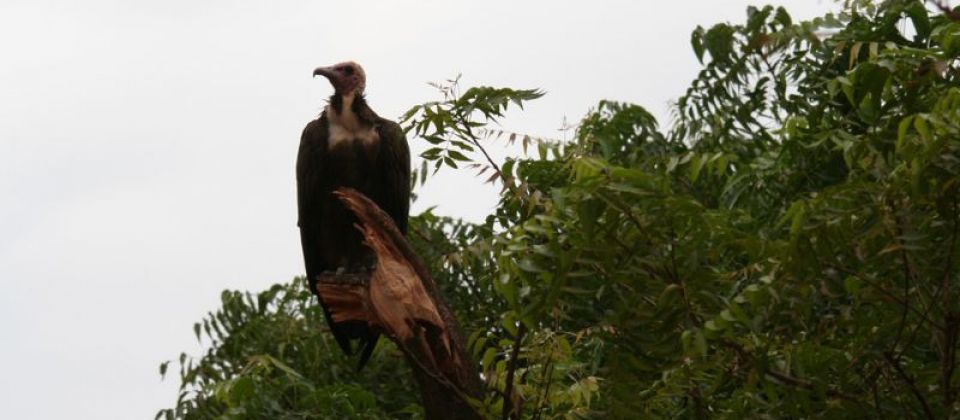 Tour image