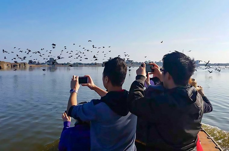 Mata del Fang Bird Reserve Boat Tour