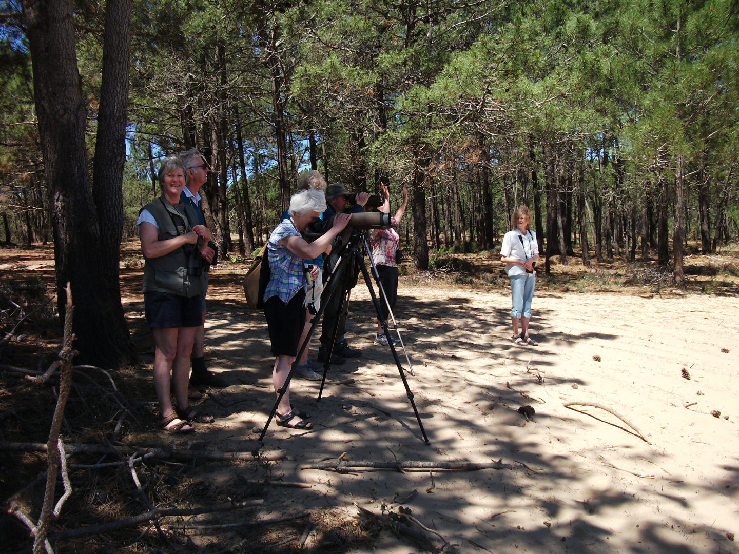 A ROCHA Life Day Birding Tours in Algarve and Alentejo