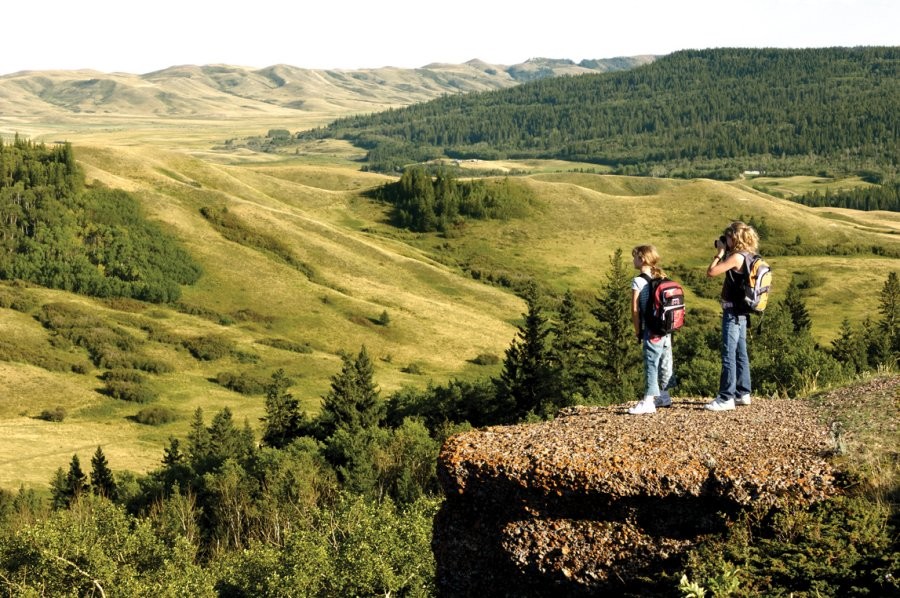 Canada – Southwest Saskatchewan Birding Tour: July 9–16, 2027