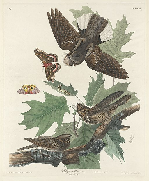 Tour image