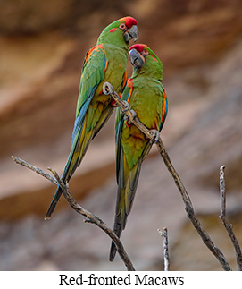 Small-Group Central Bolivia Tour