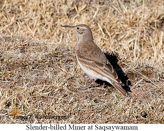 Small-Group Southeast Highlands Tour
