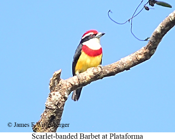 Small-Group Tarapoto-Cajamarca Tour