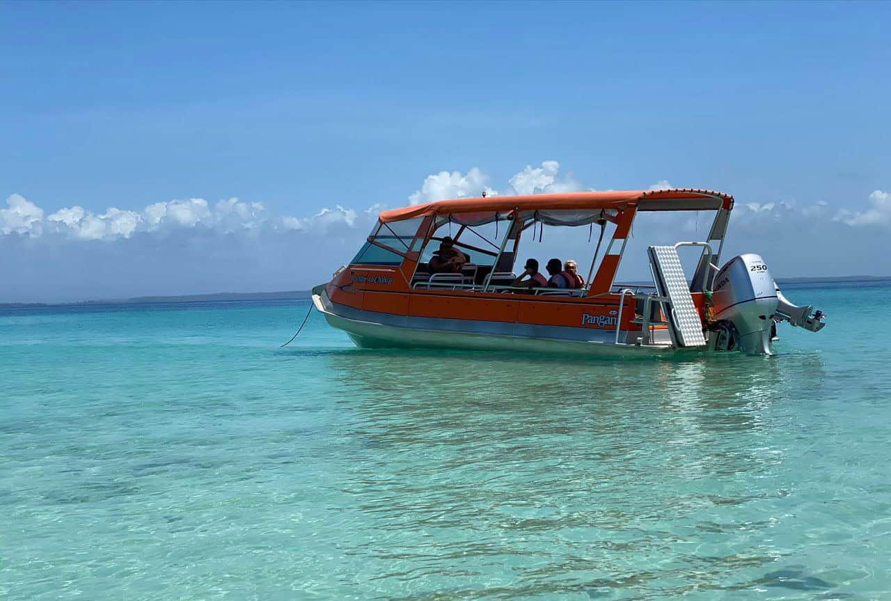 12-Day Coastal Tanzania Endemics and Pelagic Birding Tour