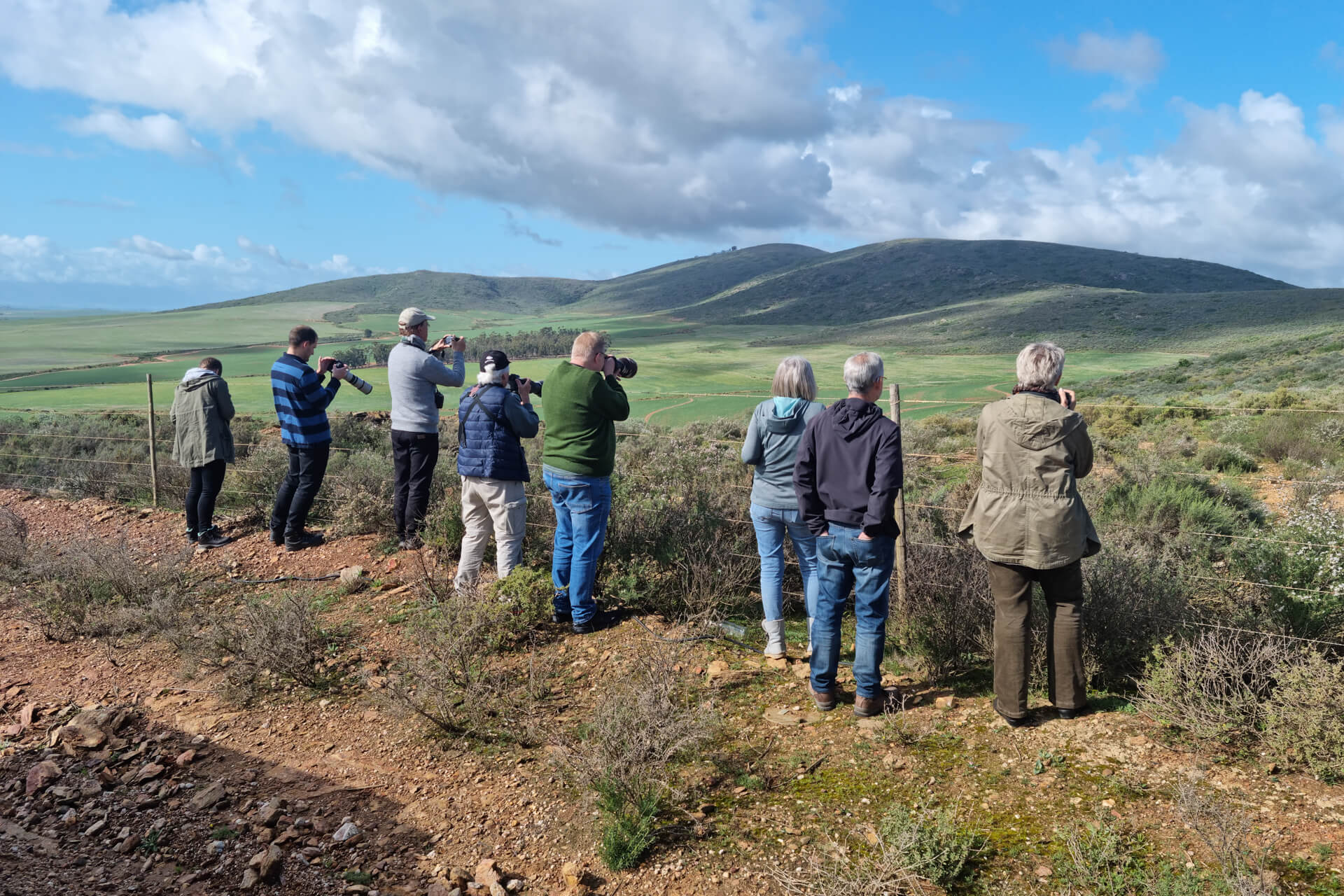 10-Day Western Cape Birding Tour