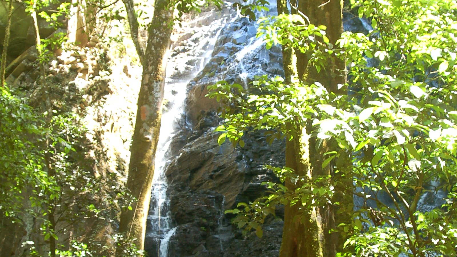 Tour image