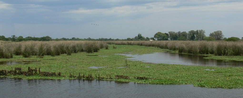 Tour image