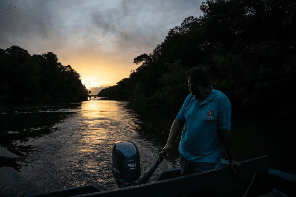 Sunrise Tour of Caroni Bird Sanctuary