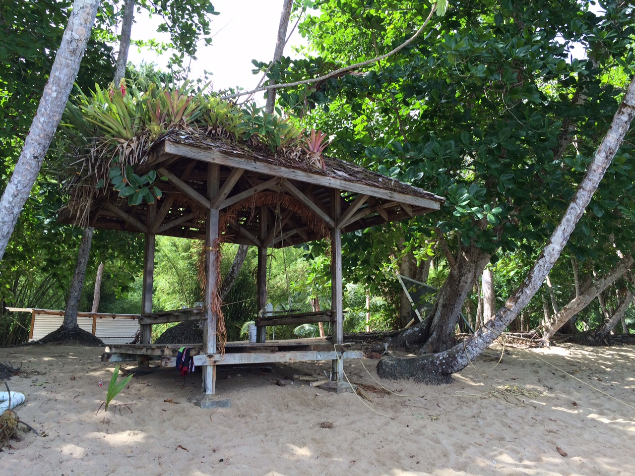Tobago Historical and Nature Tour