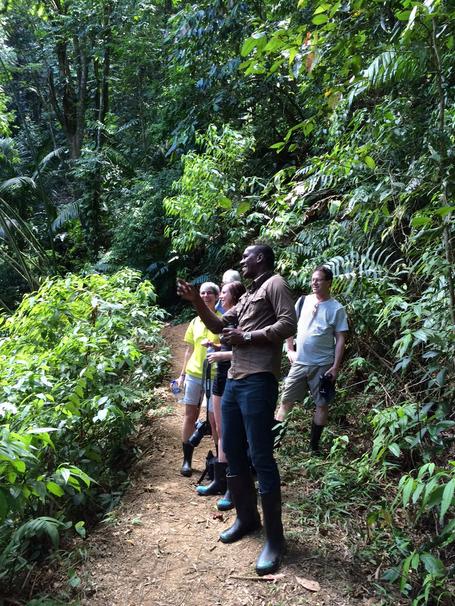 Tobago Cocoa Estate Nature Tour