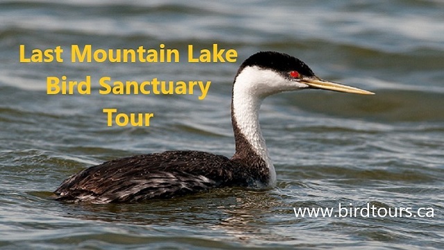Tour image