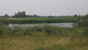 Tour image