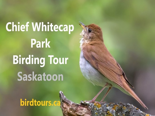 Tour image