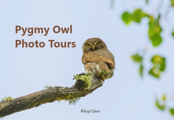 Tour image