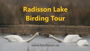 Tour image