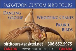 Tour image