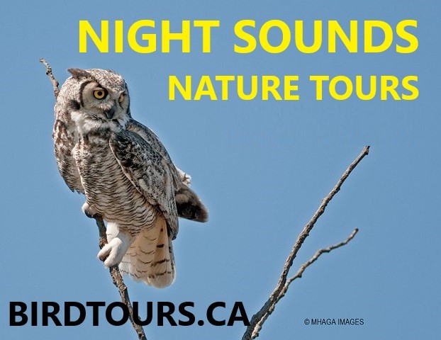 Tour image