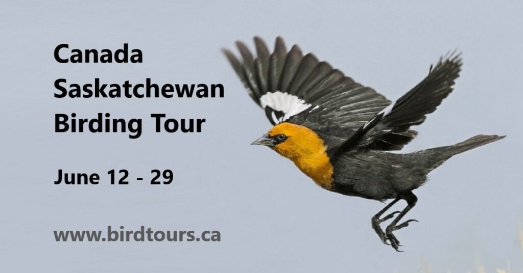 Tour image