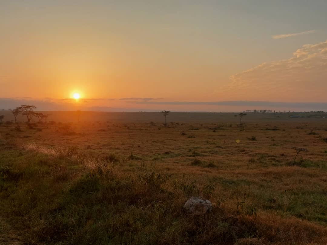Tanzania Birding and Game Viewing with Johnnie Uganda Safaris