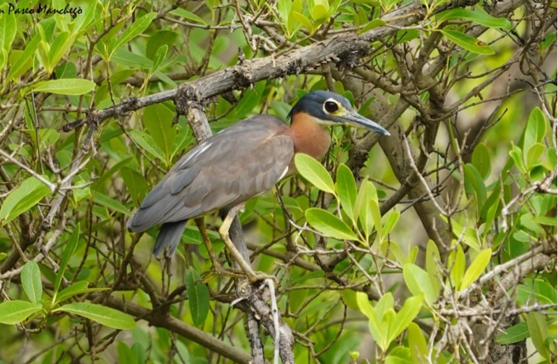 Tour image