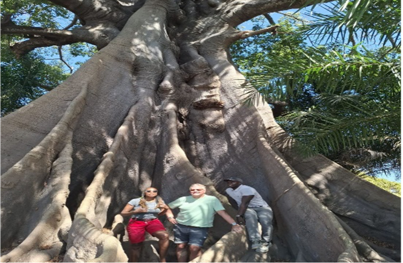 Tour image