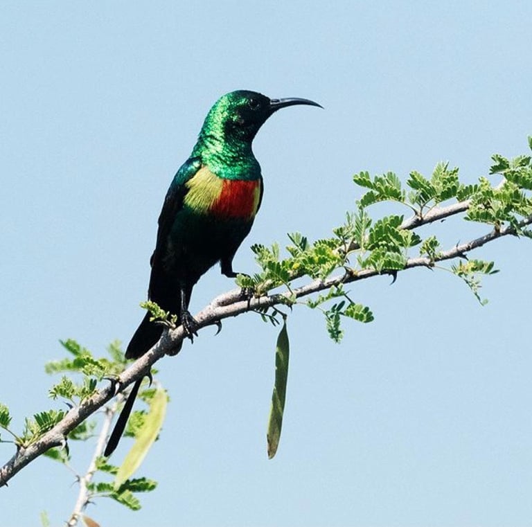 Tour image