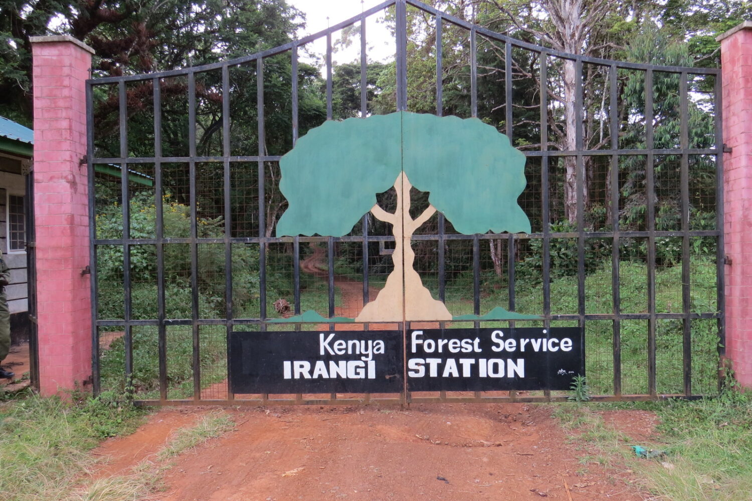 Irangi Forest