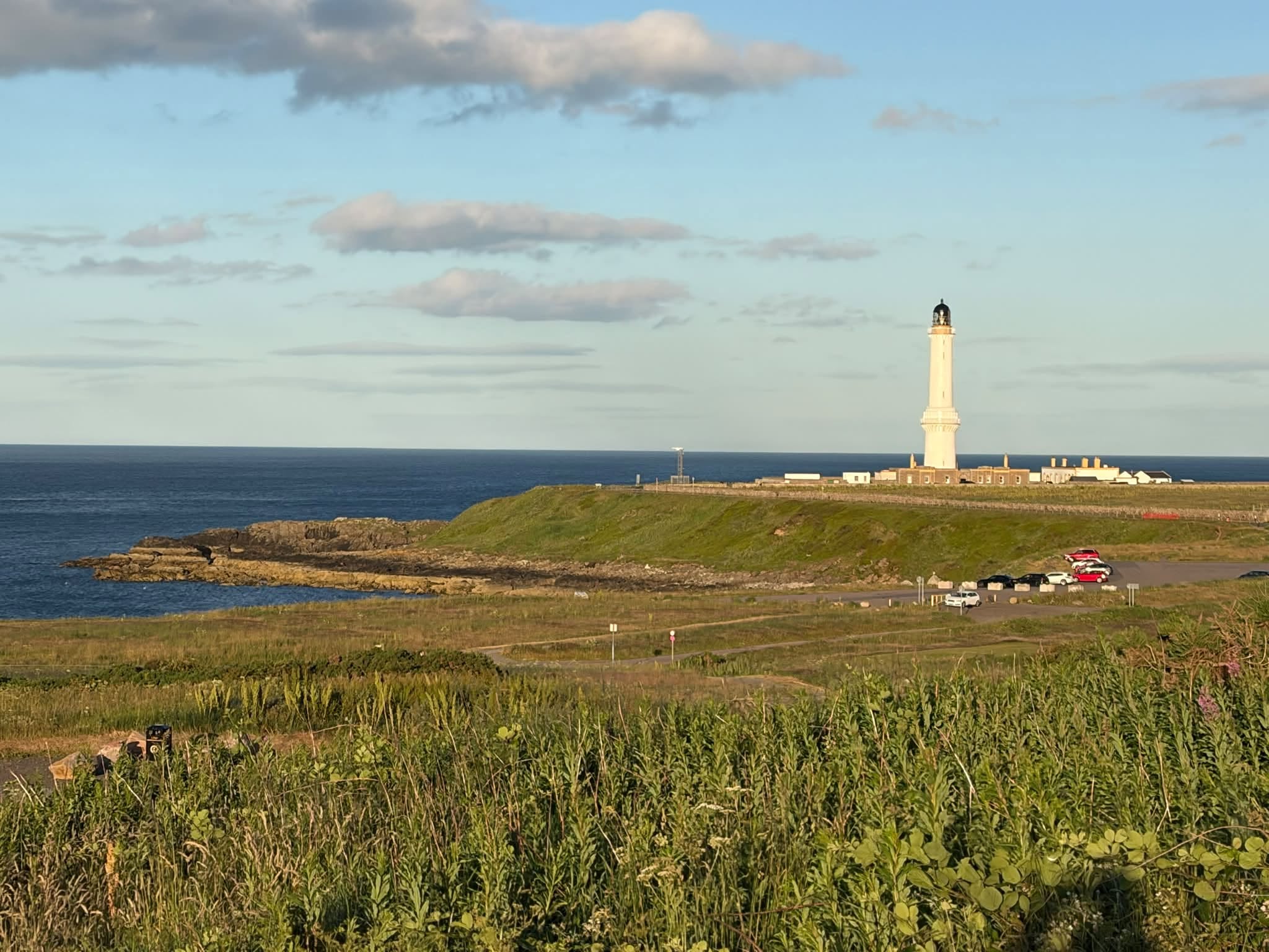 Short Bespoke Birding Tour near Aberdeen
