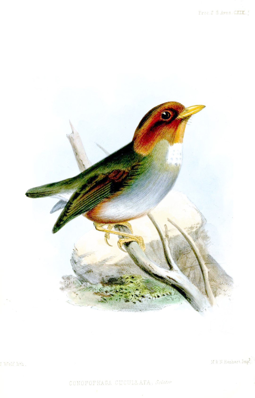 Tour image