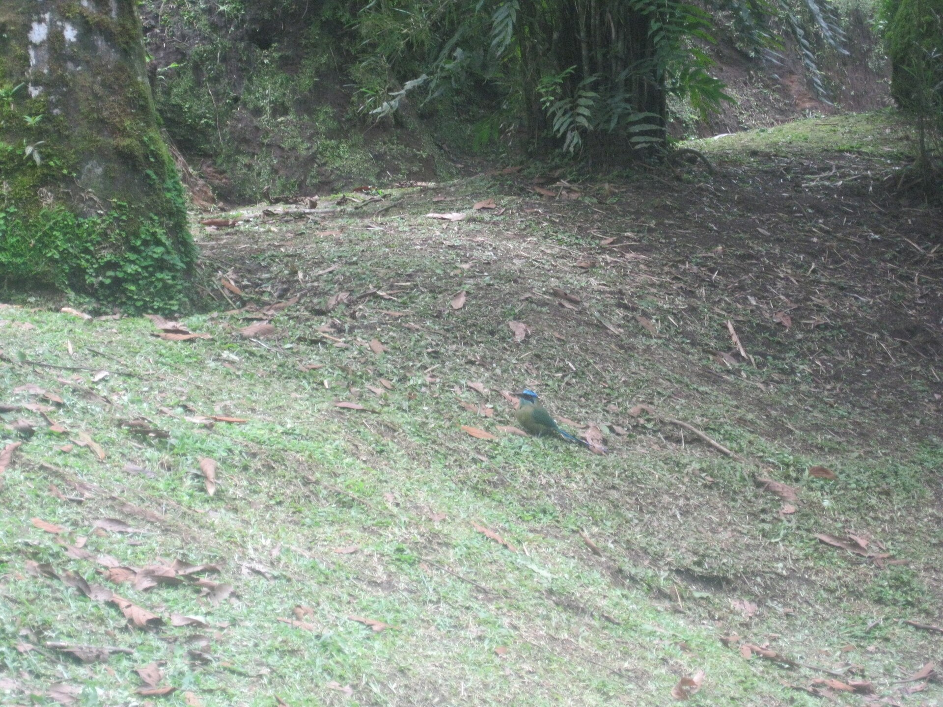 Tour image