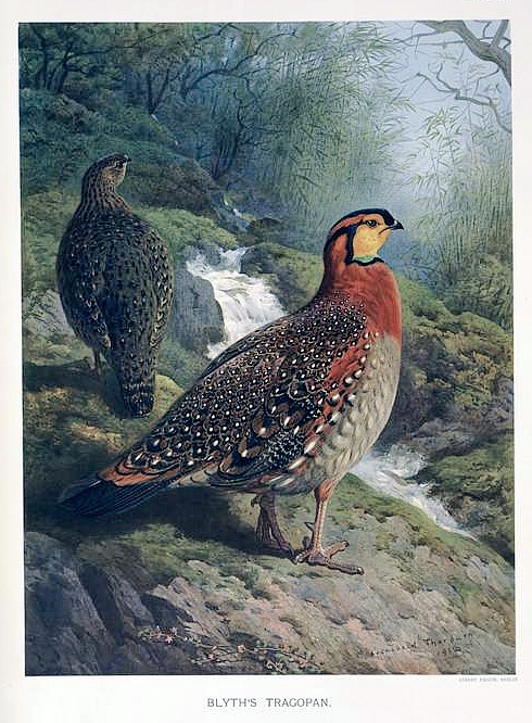 Tour image