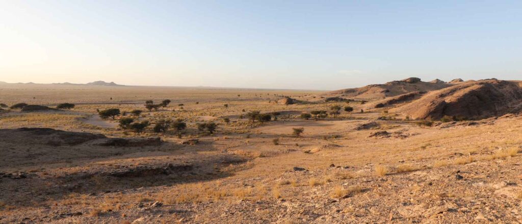Western Sahara Birding