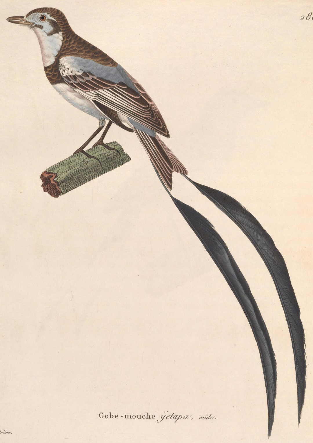 Tour image