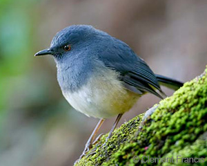 Tour image