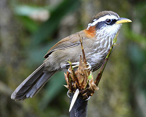 Tour image