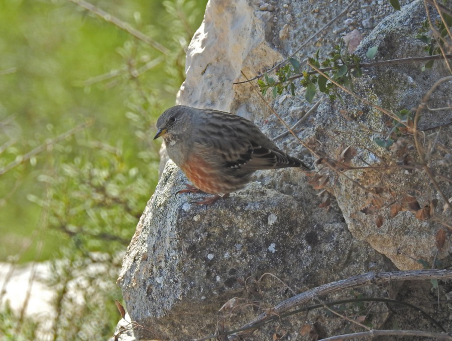 Tour image