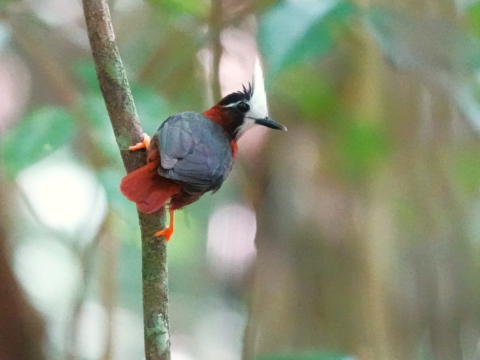 Tour image