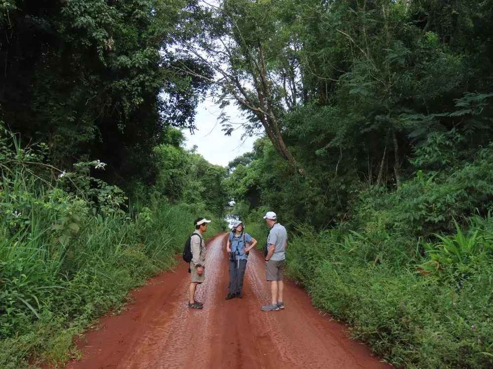 Tour image