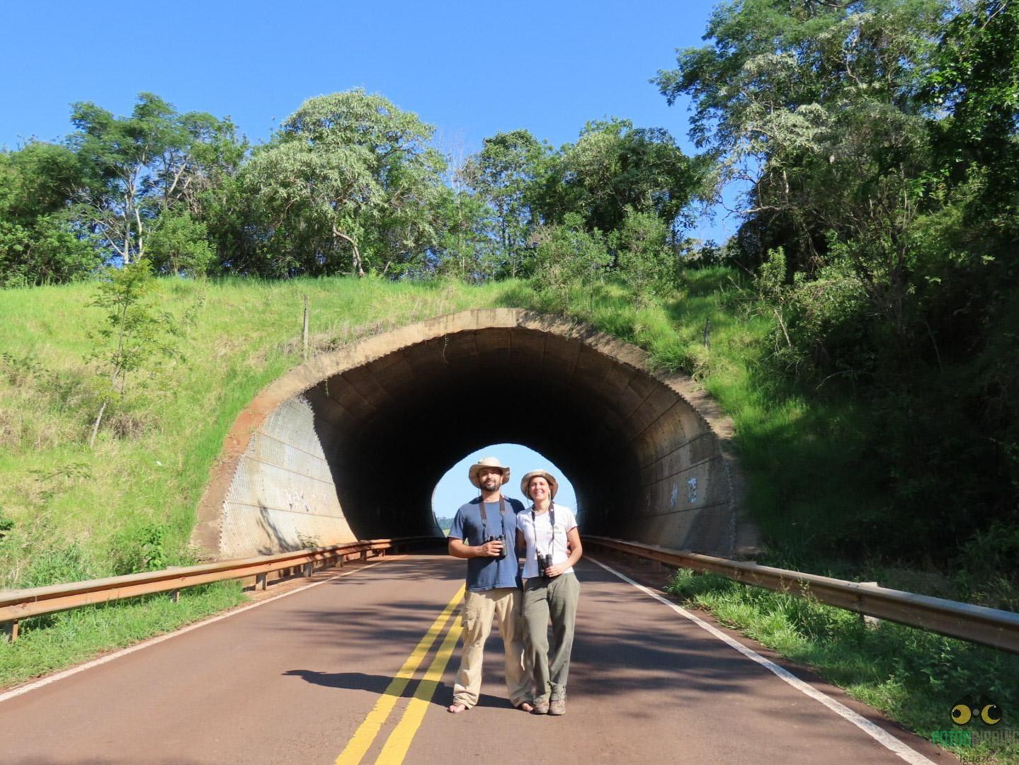 North Misiones Atlantic Forest Birding Tour